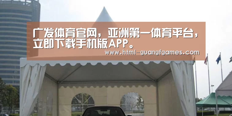 案例标题八