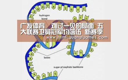 广发体育_
难过一见的局面 五大联赛卫冕冠军均落伍 新赛季谁会掉链子?(图2) 广发体育app
