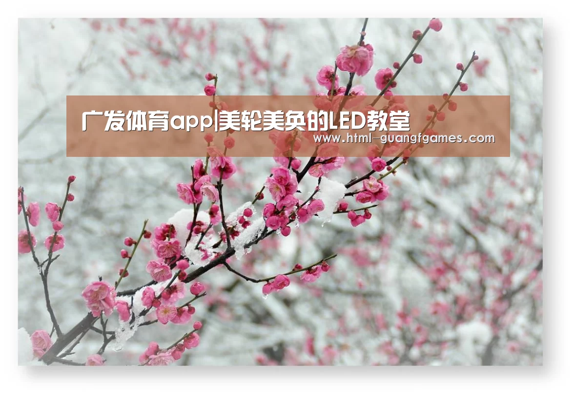 广发体育app|美轮美奂的LED教堂(图1) 广发体育app