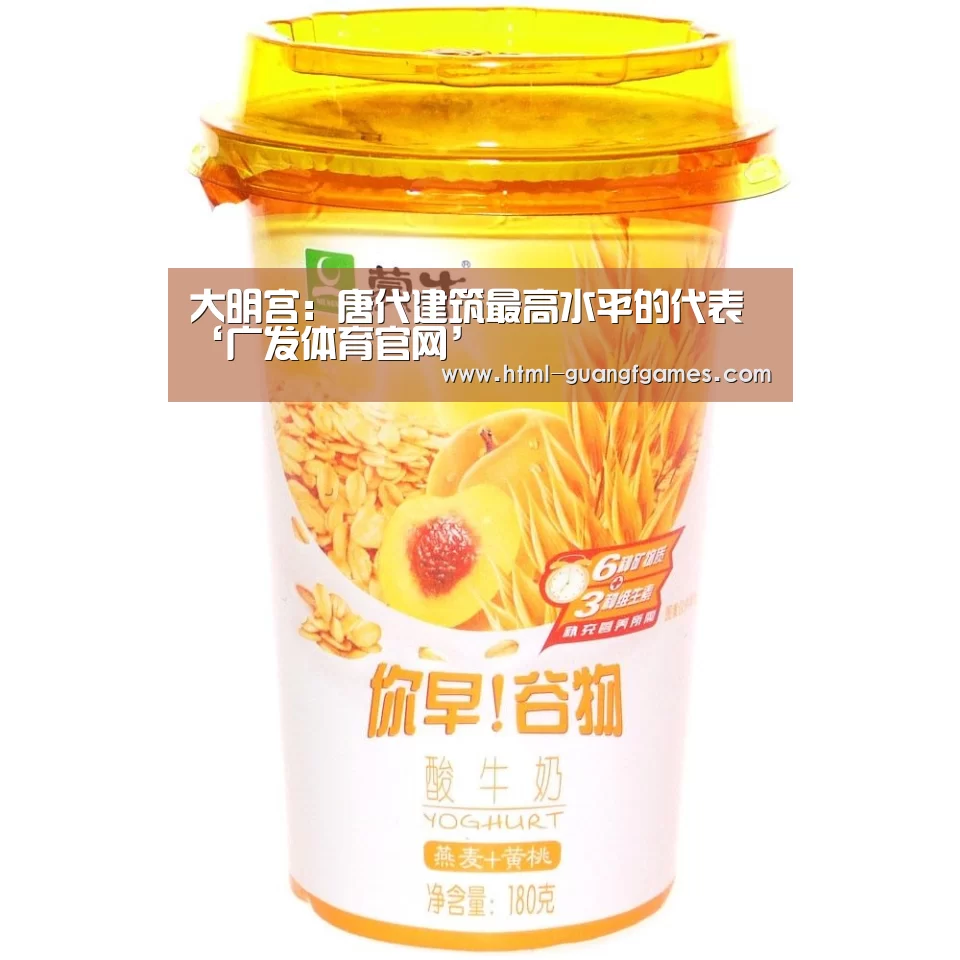 大明宫:唐代建筑最高水平的代表‘广发体育官网’(图2) 广发体育app