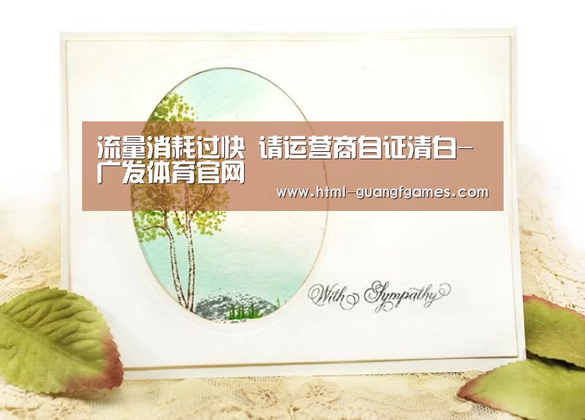 流量消耗过快 请运营商自证清白-广发体育官网(图1) 广发体育官网