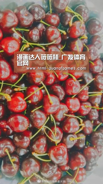 广发体育